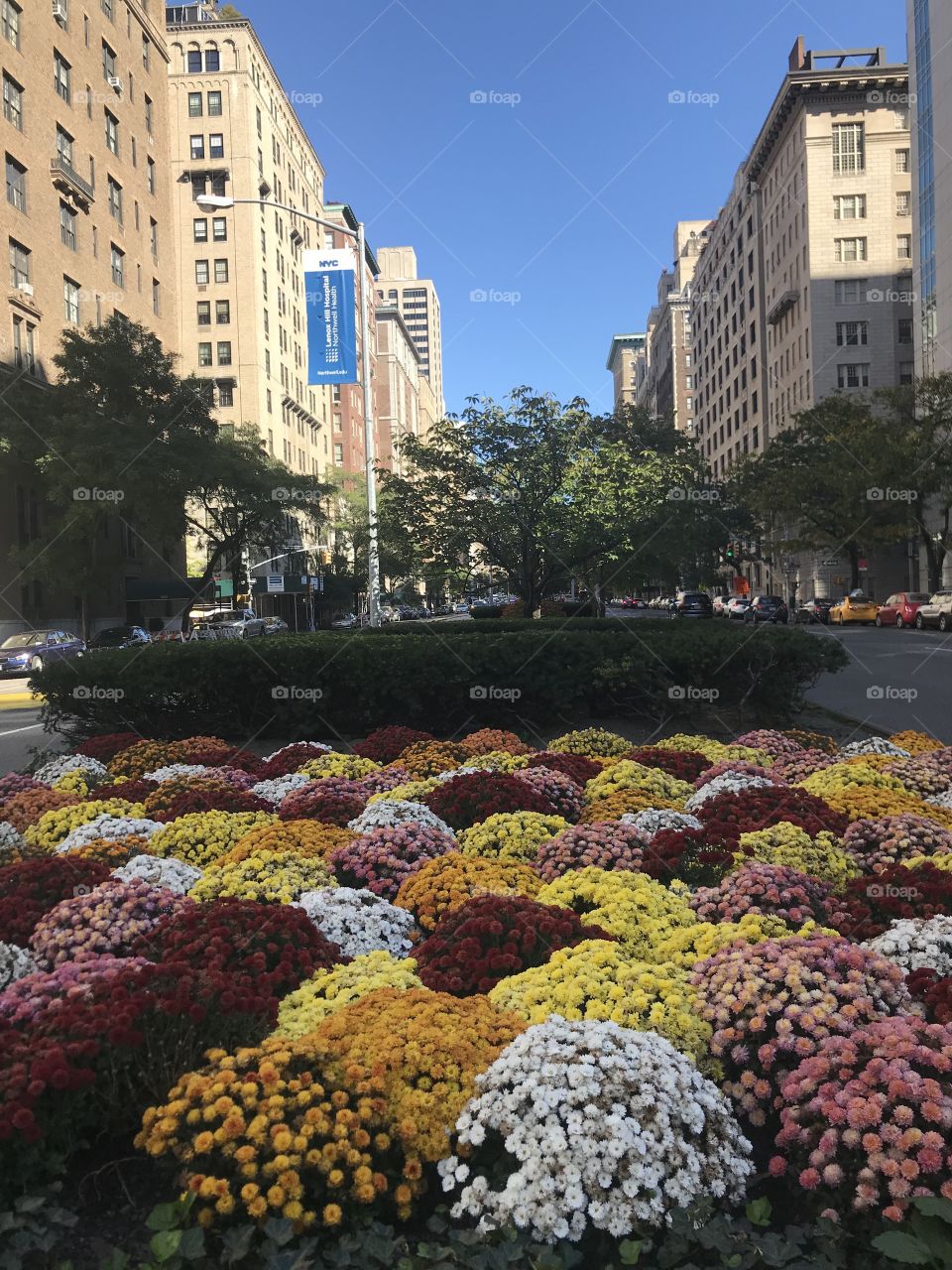 Flowers on Lexington Avenue 