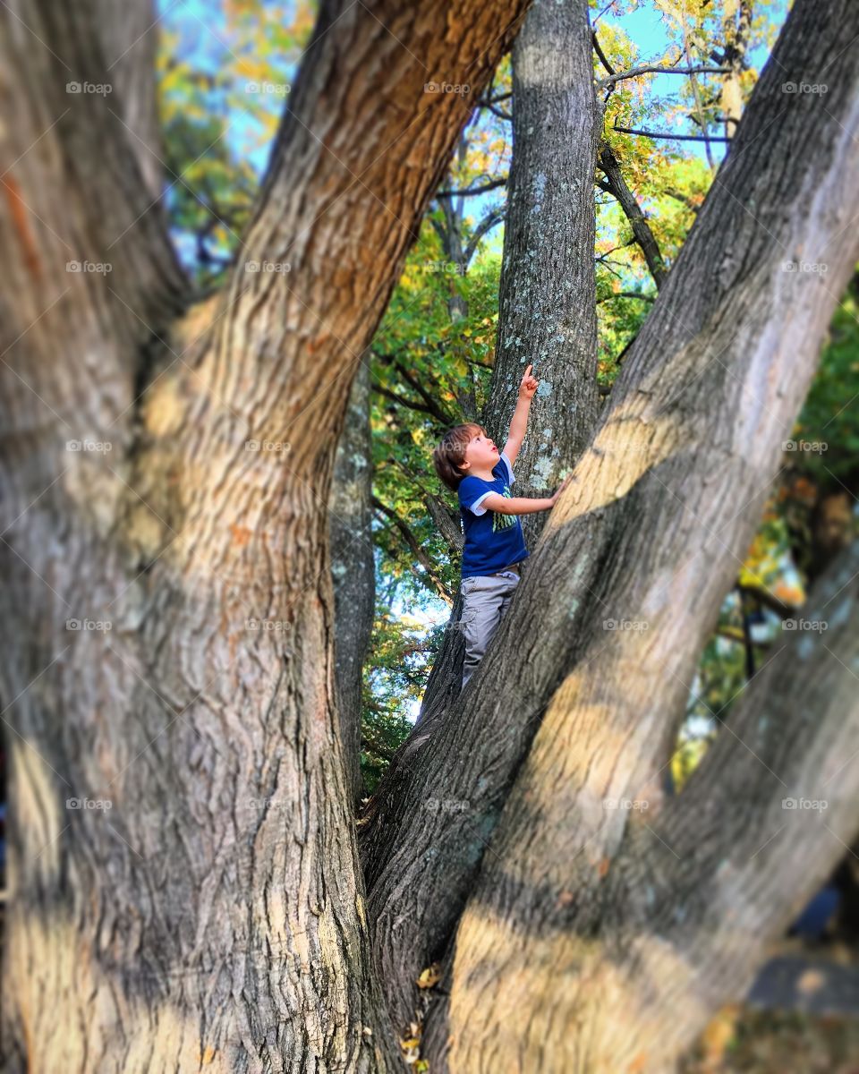 Boy standing on tree trunk