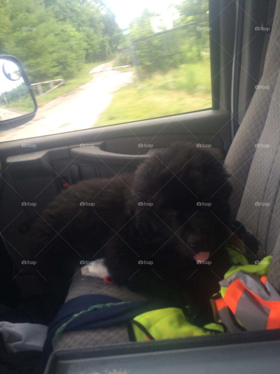 Car, Vehicle, Transportation System, Driver, Vehicle Window