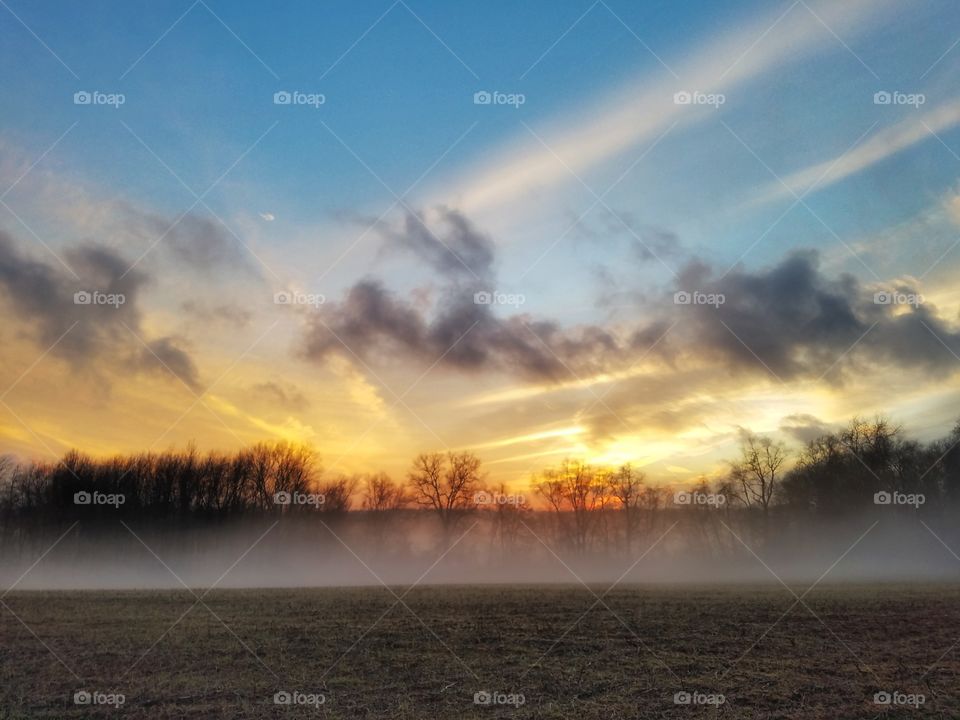 Foggy Rural Sunset