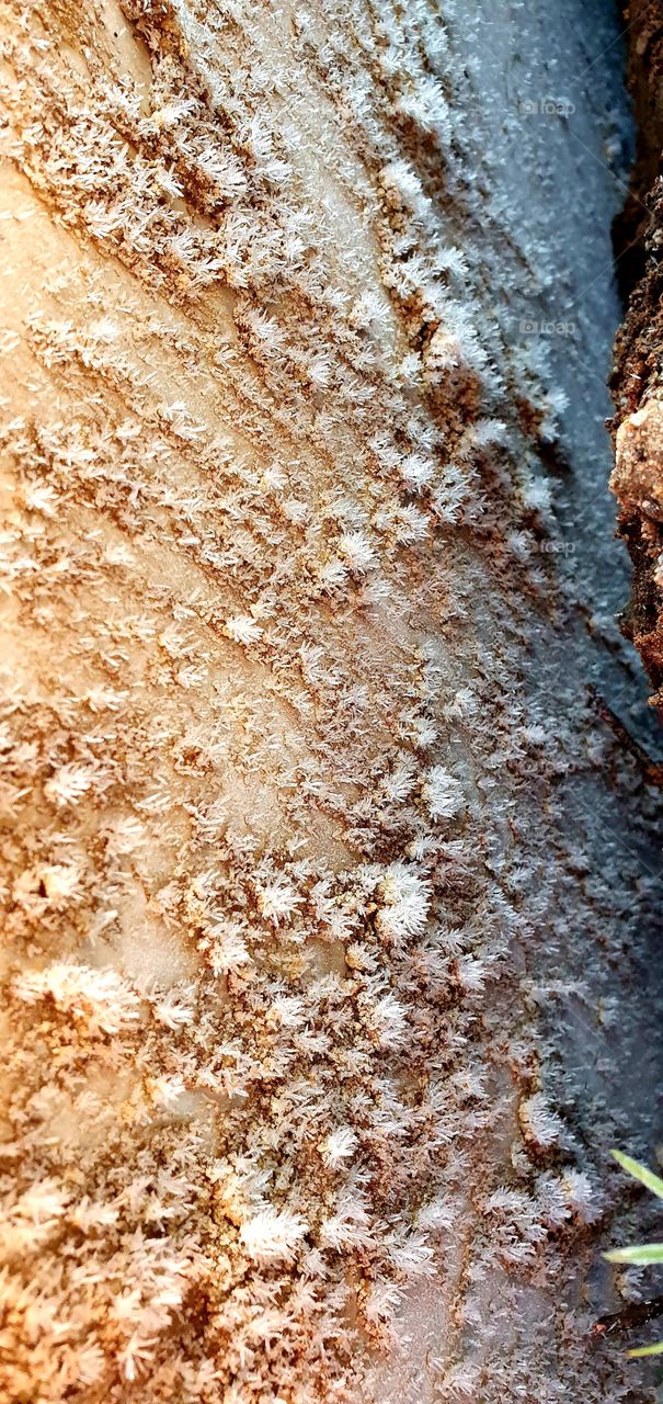 Coole Eiskristalle auf Metall