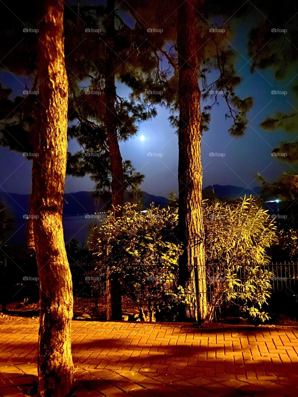 Вдоль побережья тянется аллея, освещенная редкими уличными фонарями, которые создают мягкое, приглушенное свечение. По обе стороны аллеи растут высокие деревья с
раскидистыми кронами, их силуэты темнеют на фоне неба.