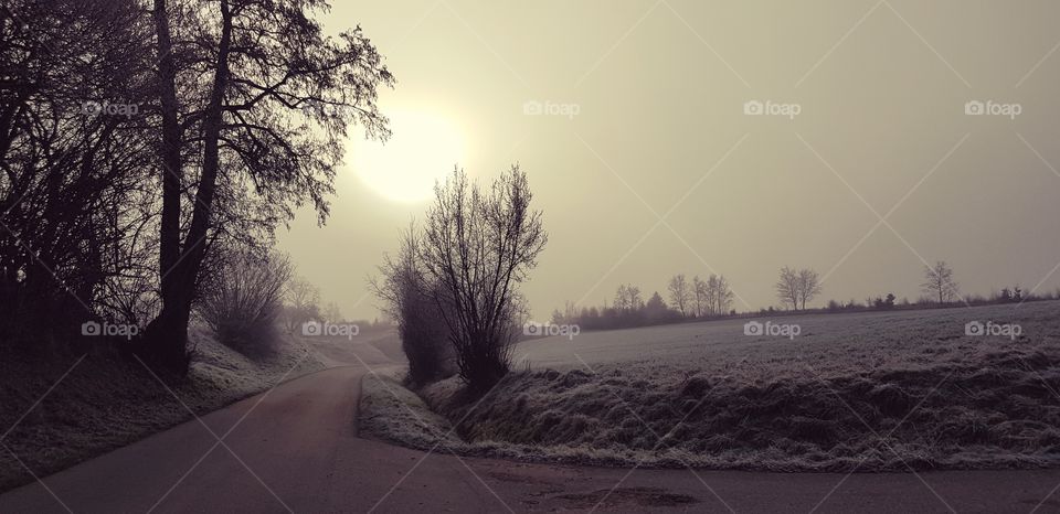 Landschaft Scene am Nebel Morgen mit Frostigen Bäumen , Wiesen und Wegenunter der Morgensonne