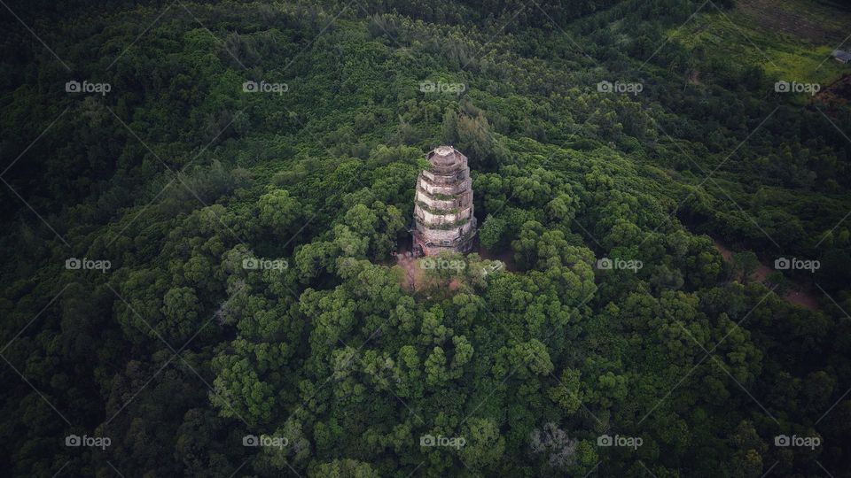Ancient tower in the middle of Green forest 