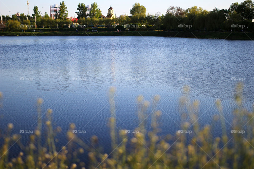 Landscape, nature, trees, tree, grass, sky, sun, water, reflection in the water", sun rays, park, people, life, life style,