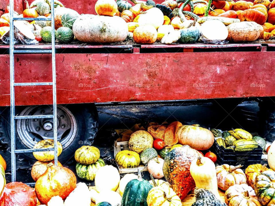 Pumpkins on and beneath a lorry