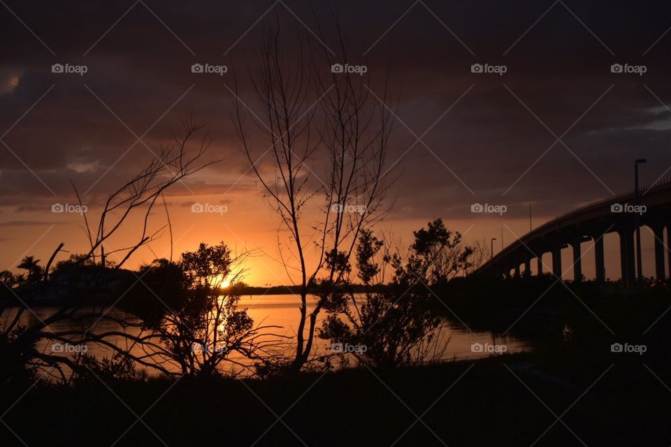 Sunset over the water at the causeway looking toward the beach. Silhouetted trees can be seen in the foreground. The bridge is to the right.