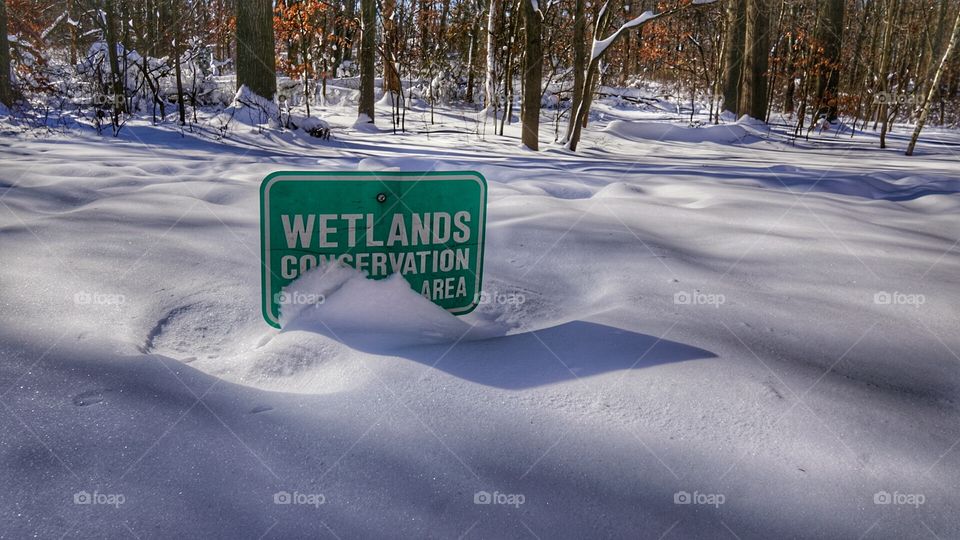 Wetlands Deep Snow
