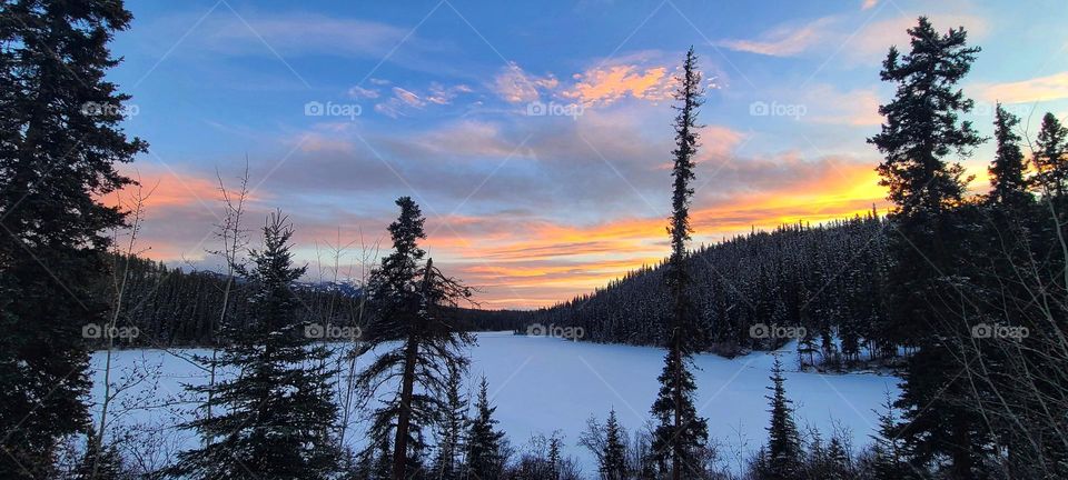 Wintertime in the Yukon, Canada