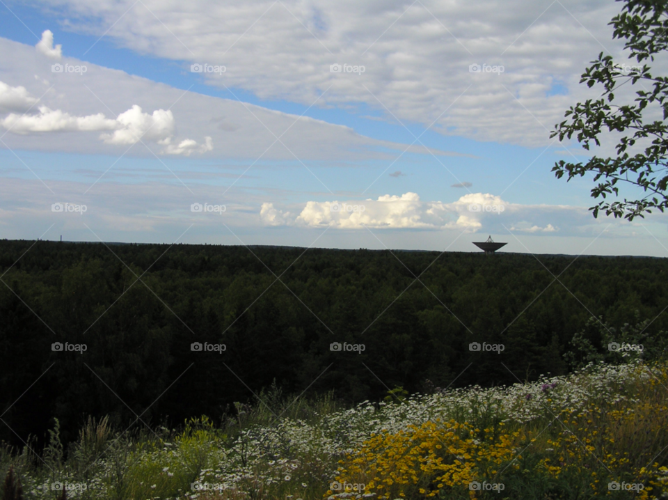 kungsängen sky flowers nature by MagnusPm