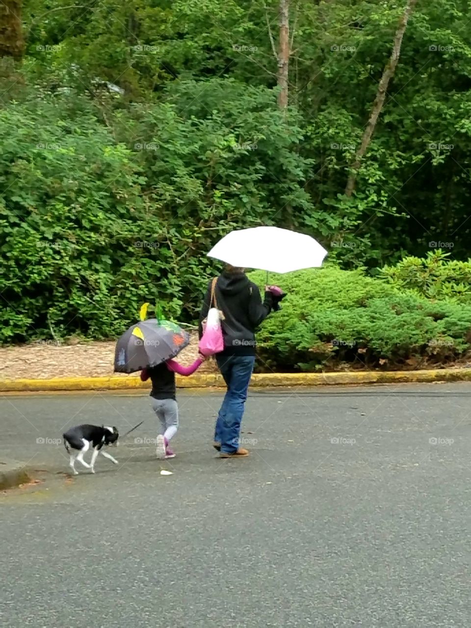 walk the dog in the rain