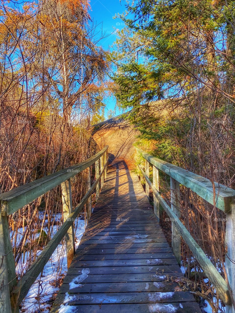 Nature trail 