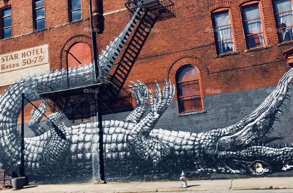 Alligator mural