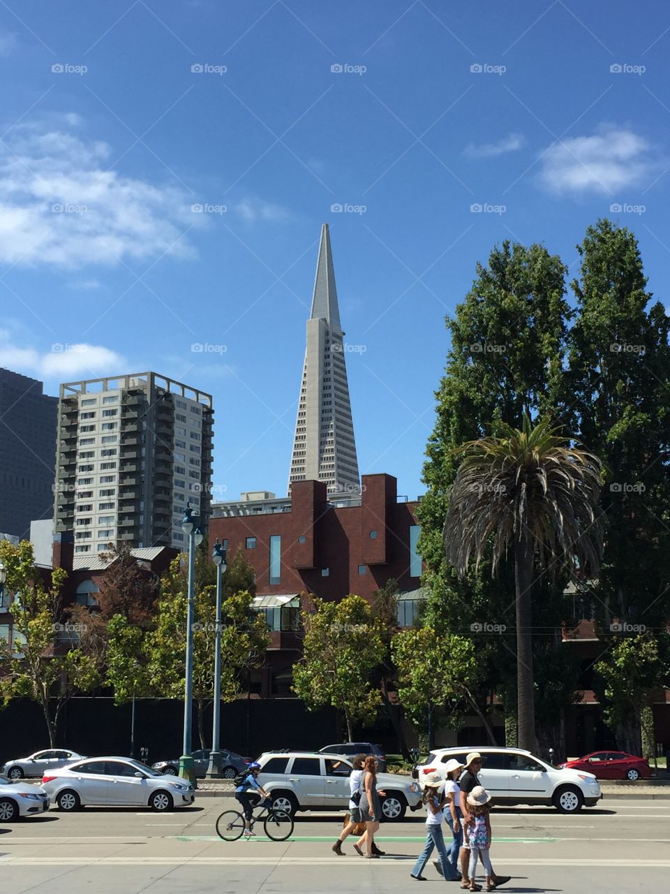 Transamerica Pyramid the Famous skyscraper in San Francisco