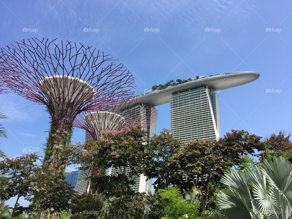 Future garden. Artificial garden in Singapure