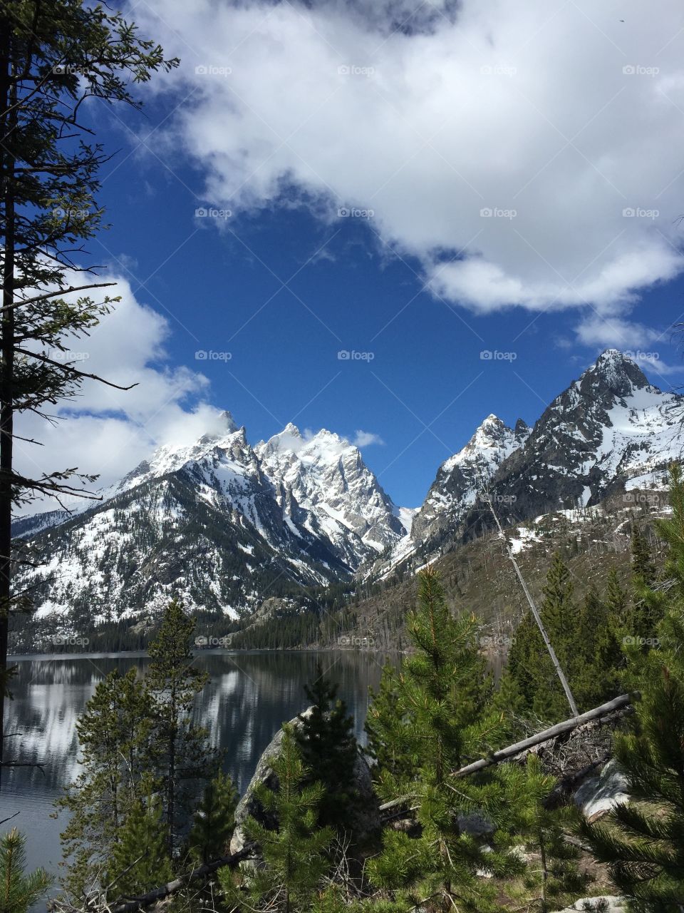 Grand Teton