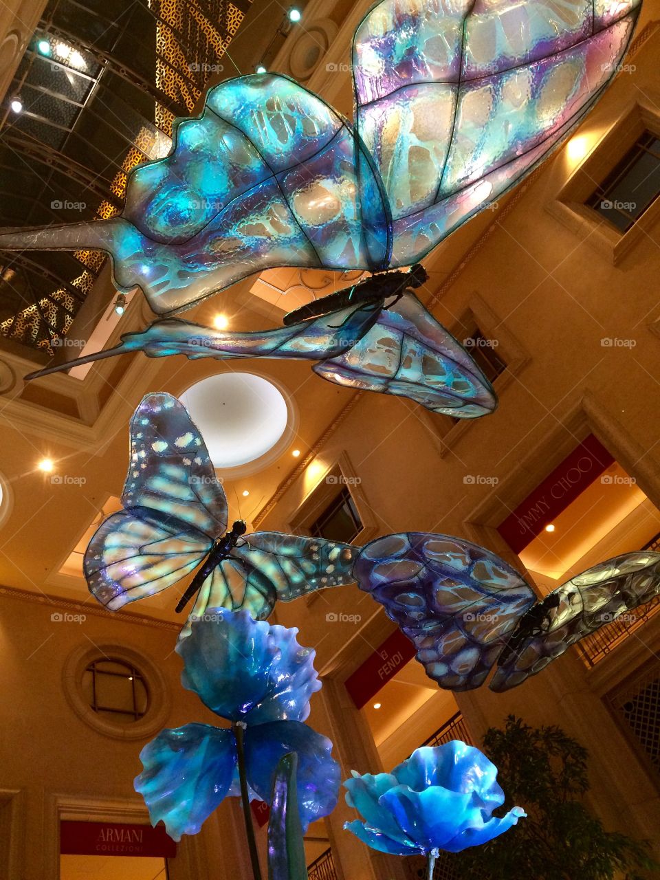 Butterfly at the Venetian