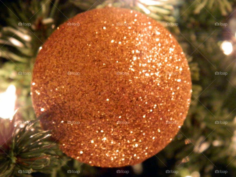 Close-Up Christmas
