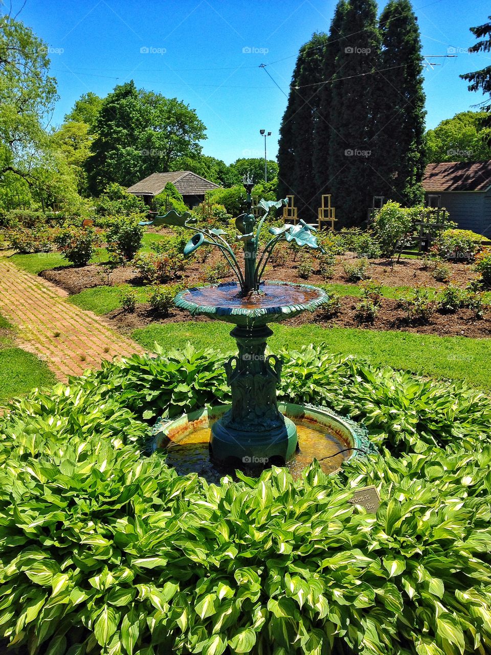 Booth Park . Fountain 