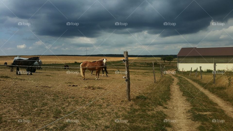 landscape dark sky clouds horse