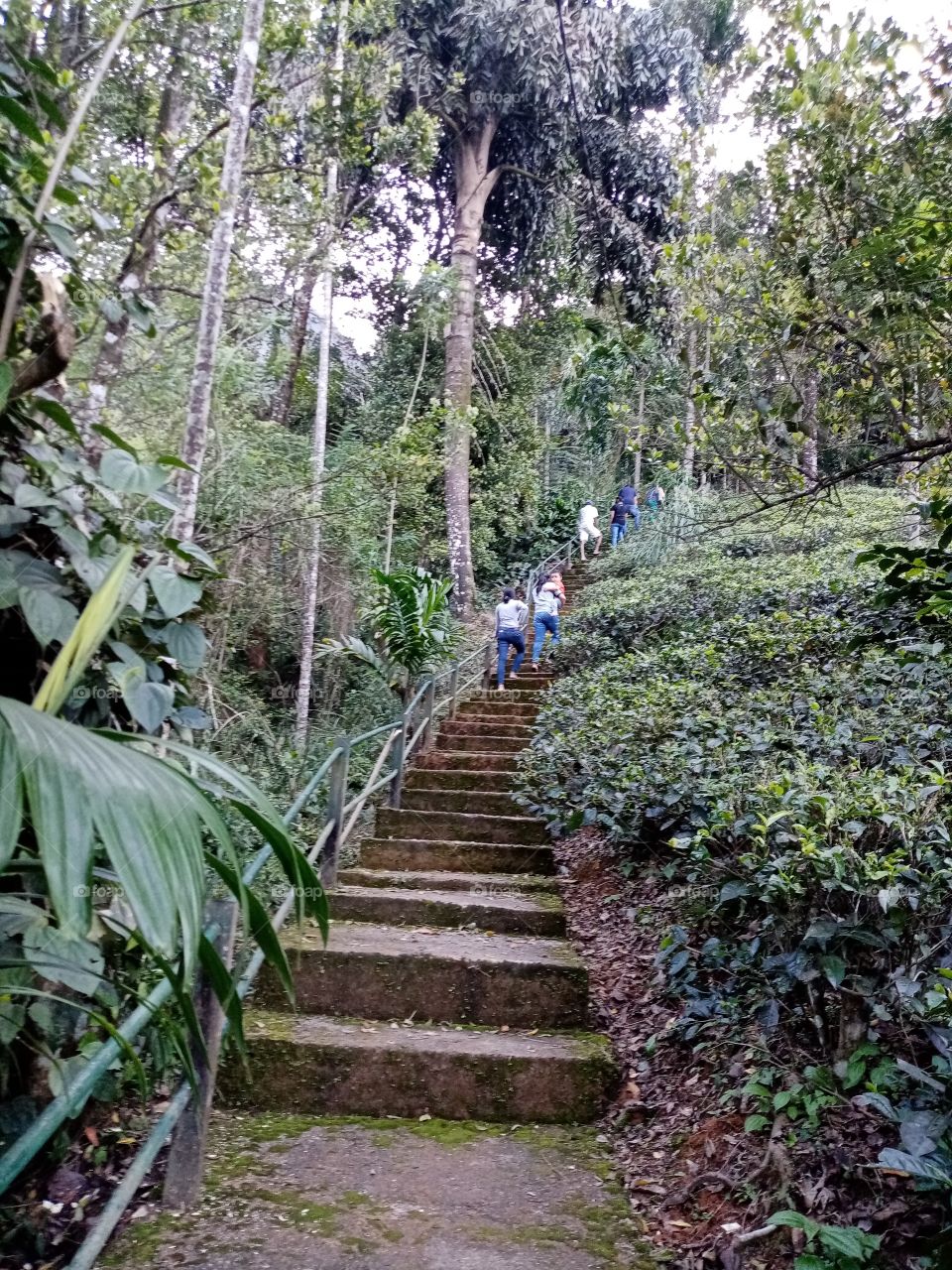 Way to Laxapana water fall in Sri Lanka