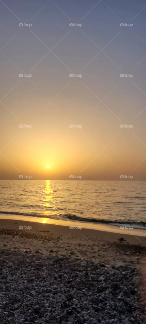 golden sea