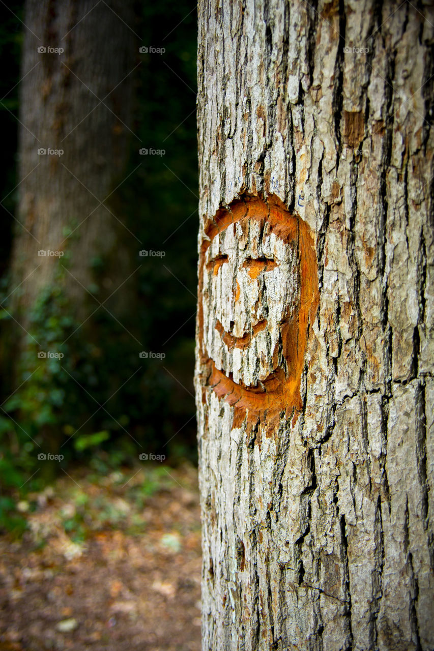 Tree smile 