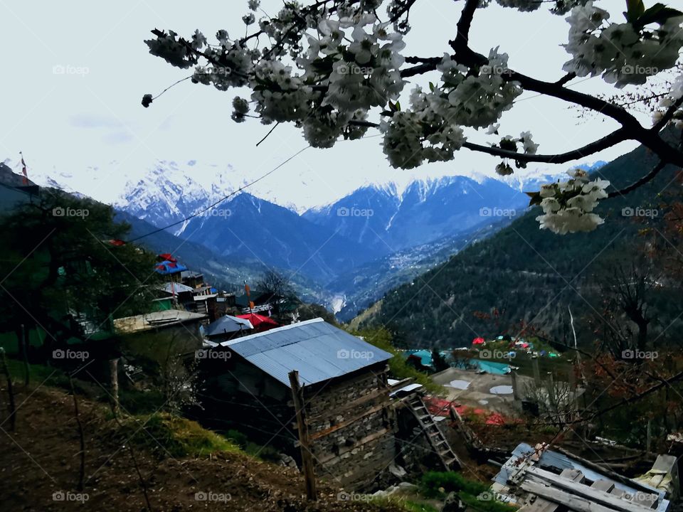 Countryside view summers