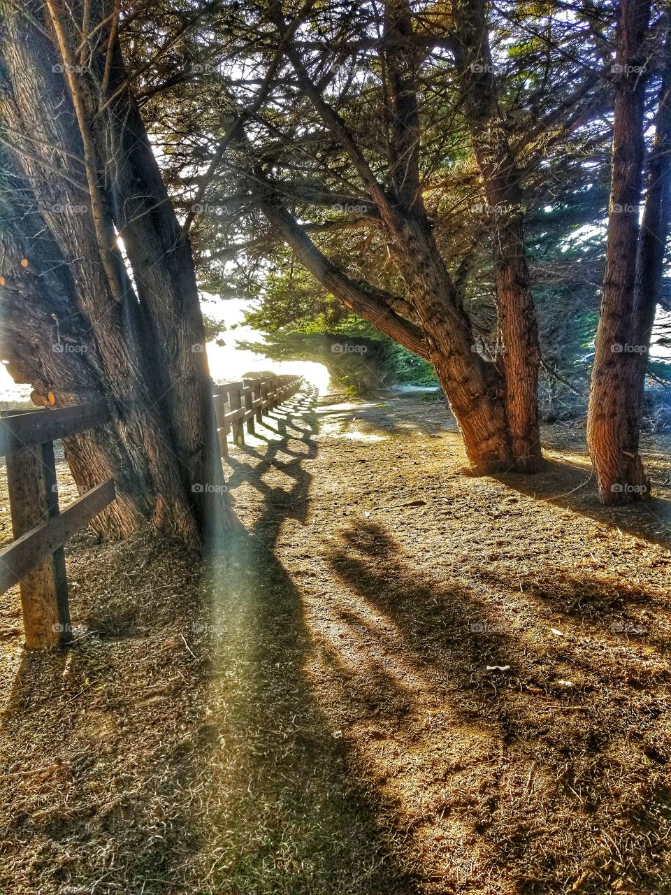 A Place Less Traveled