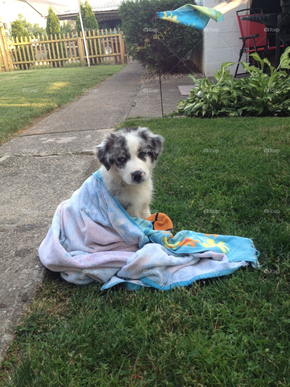 Mcgee. Drying off after pool
