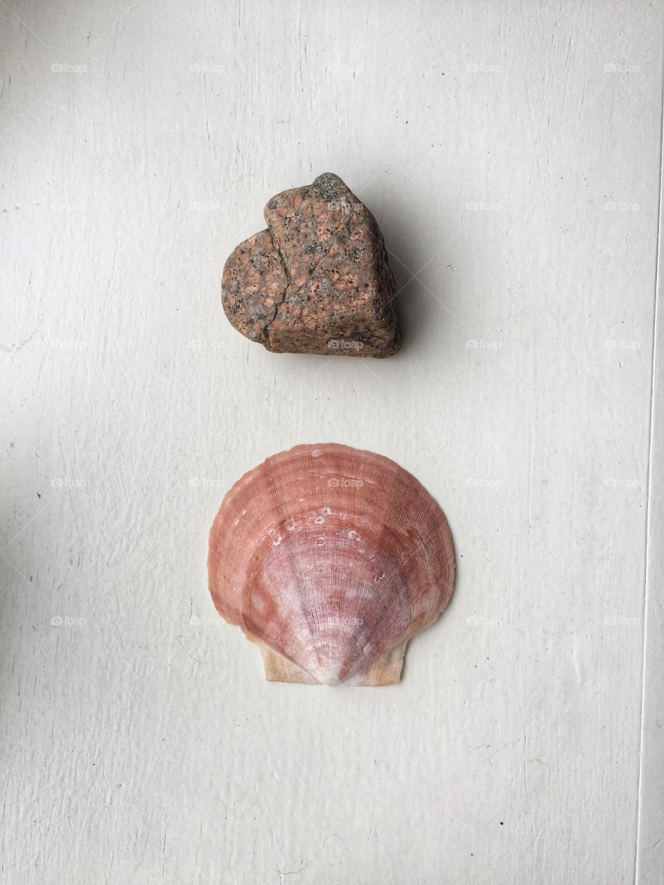 A shell and a rock sit side by side on a wooden tabletop that has been painted white. The shell is pink and the rock is of many colors and textures.
