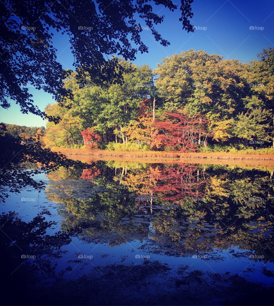 Fall foliage reflected in water