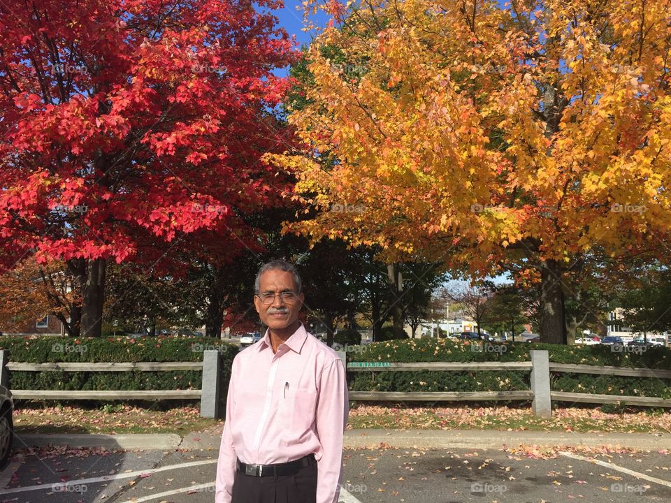 New York visit- fall 2017