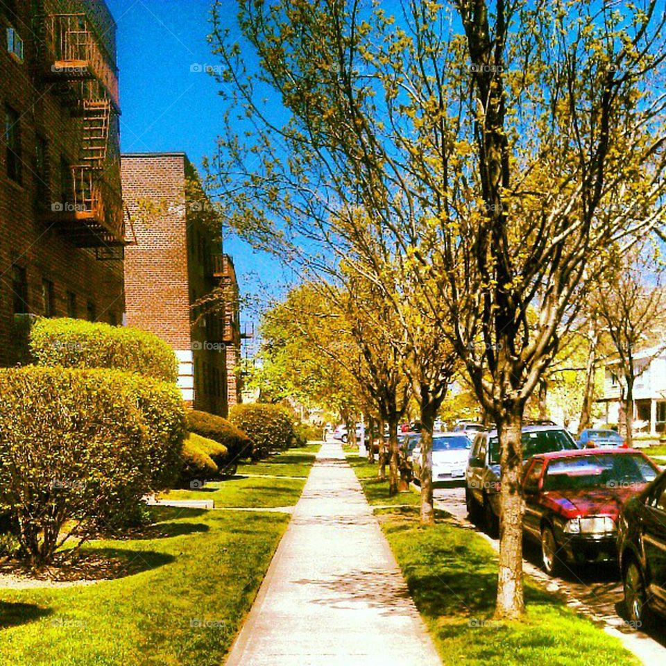 No Person, Tree, Fall, Architecture, Outdoors