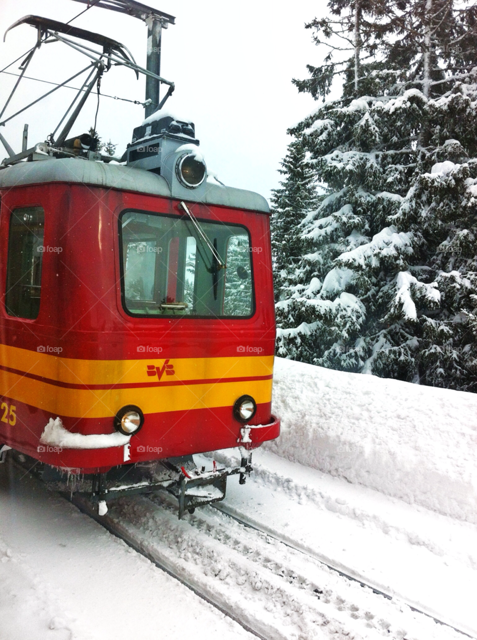 Winter, Snow, Christmas, Train, Transportation System
