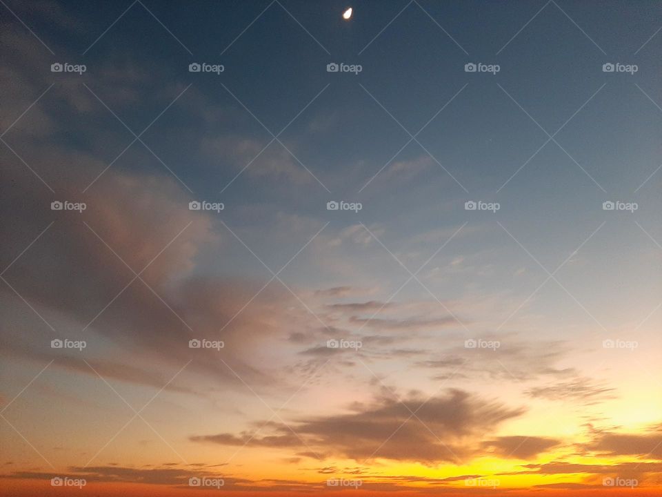 Please, I want you to support me, I need your help, I am poor, I need dollars, please