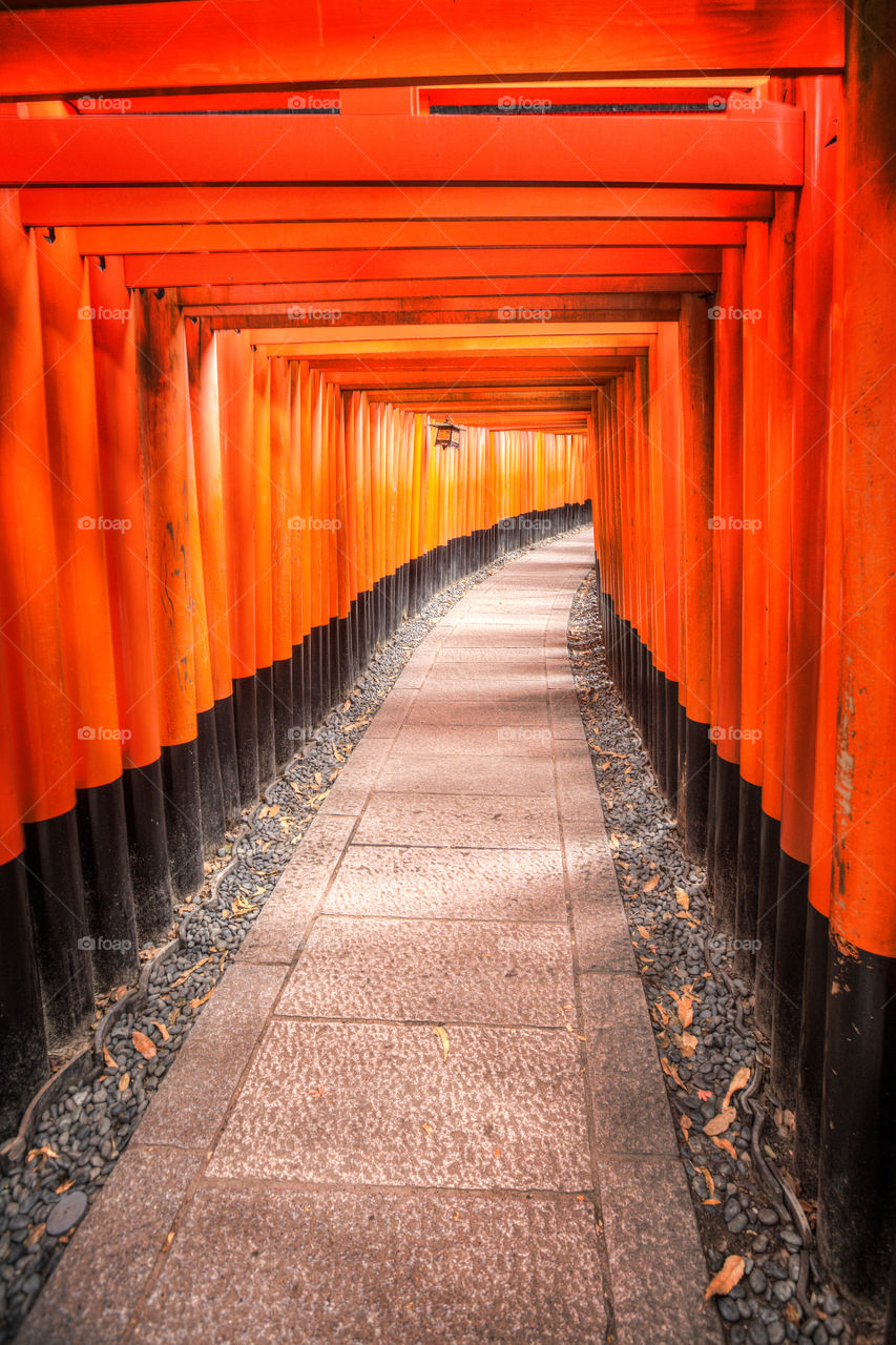 Inari fushimi shrine tori gates 