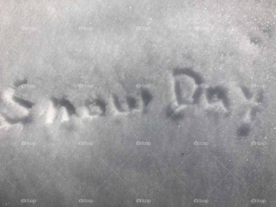 Snow day 