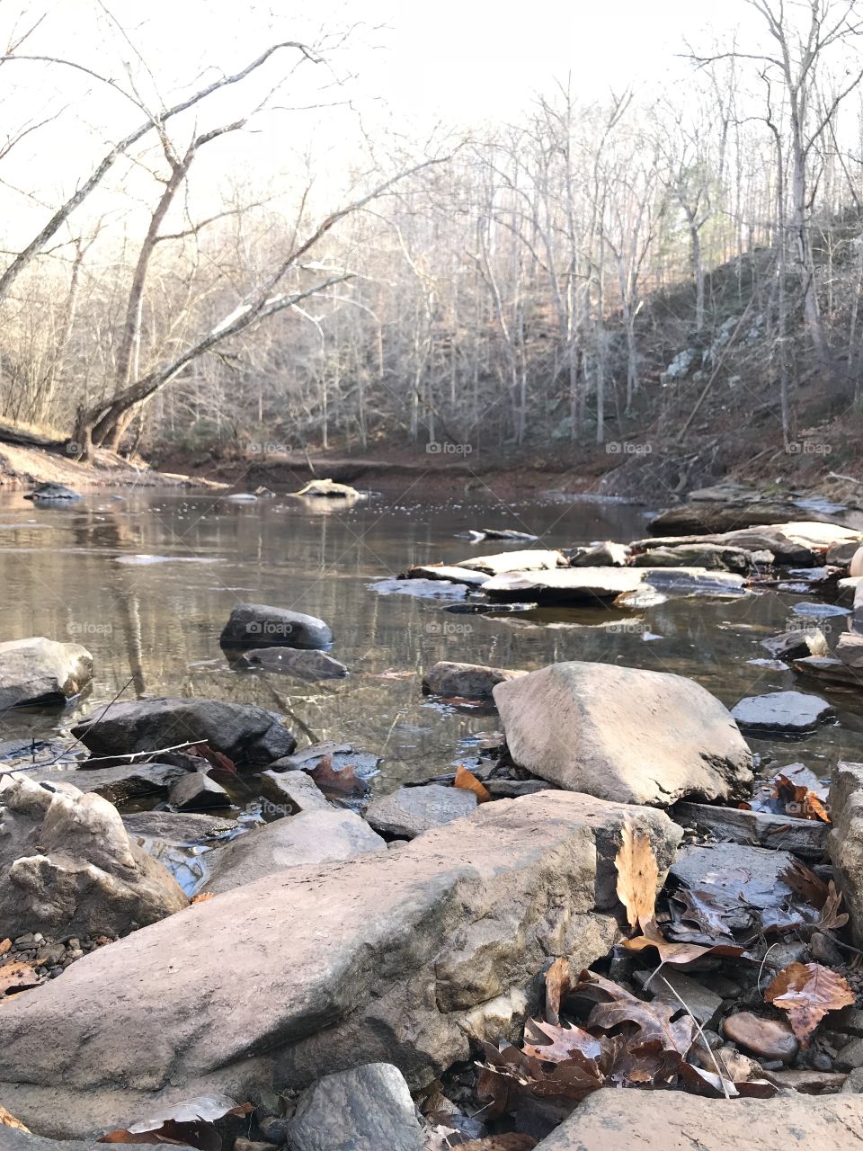 Hiking in VA, winter and nature