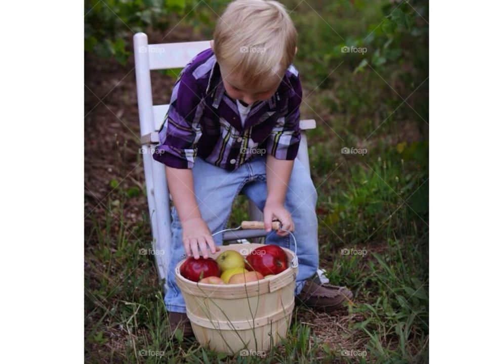 Apples and a rocker 