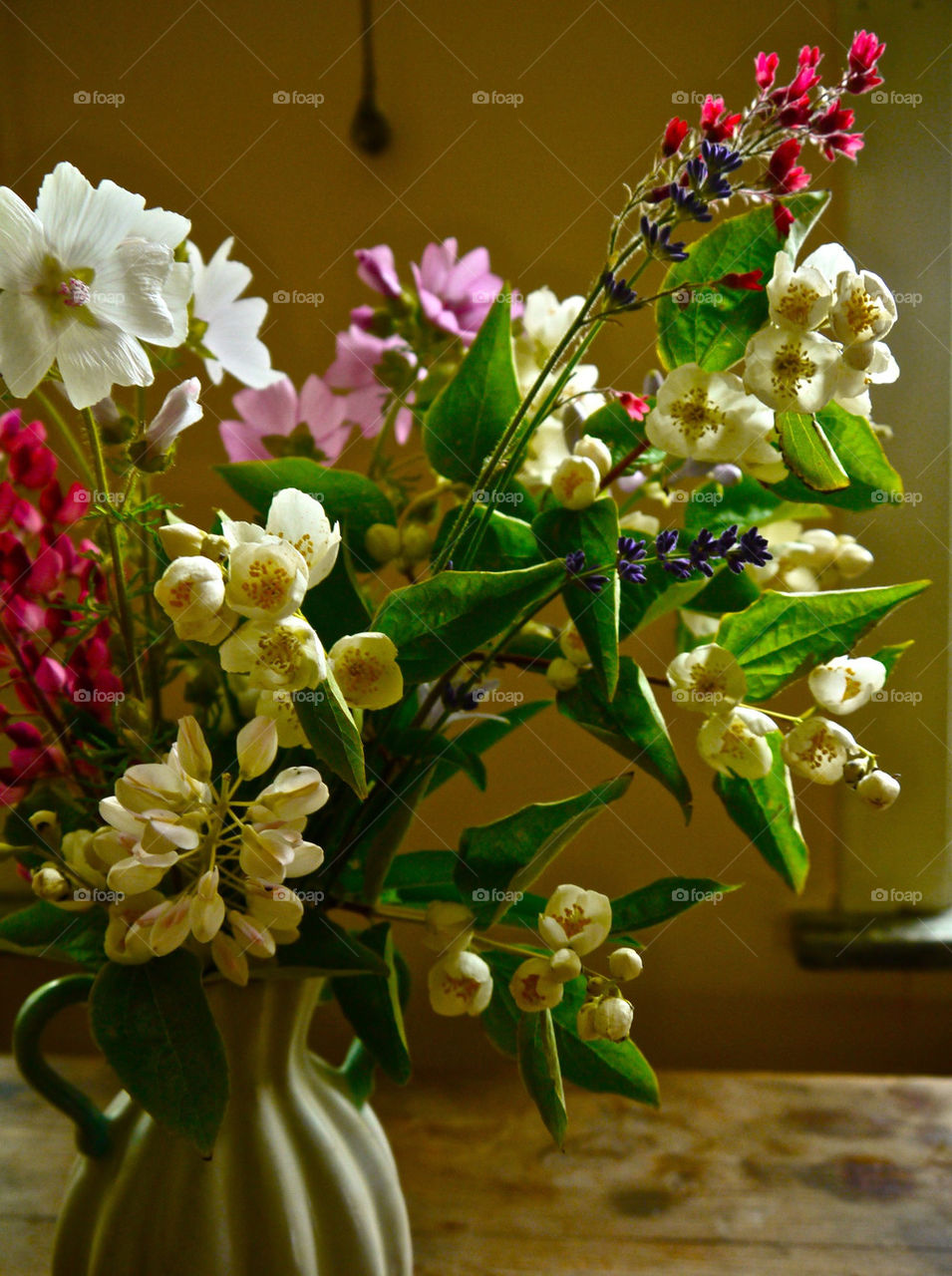 sweden flowers of blommor by ylvafloreman