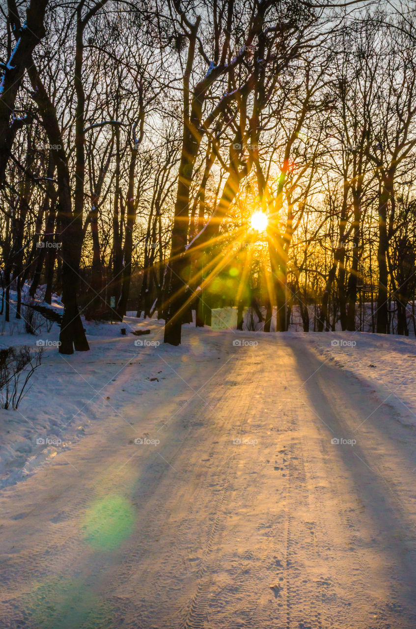 Nature landscape during sunset