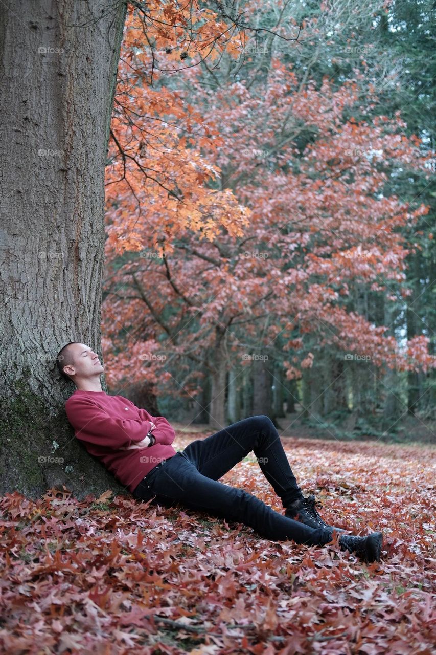 Lying under a tree in Windsor park