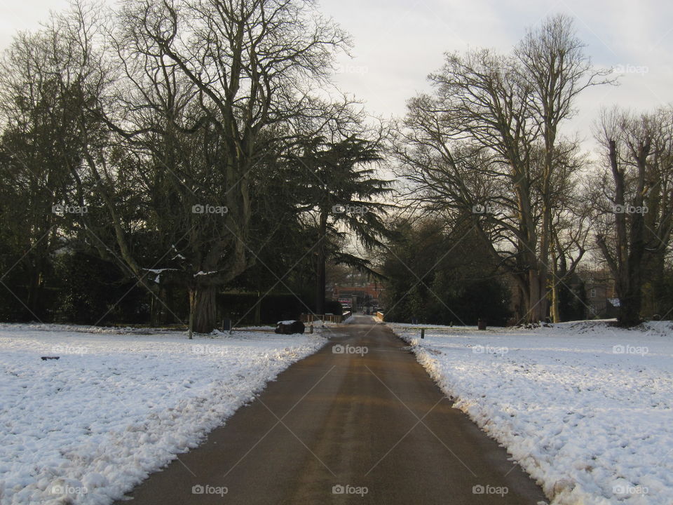 Snow, Winter, Road, Frost, Cold