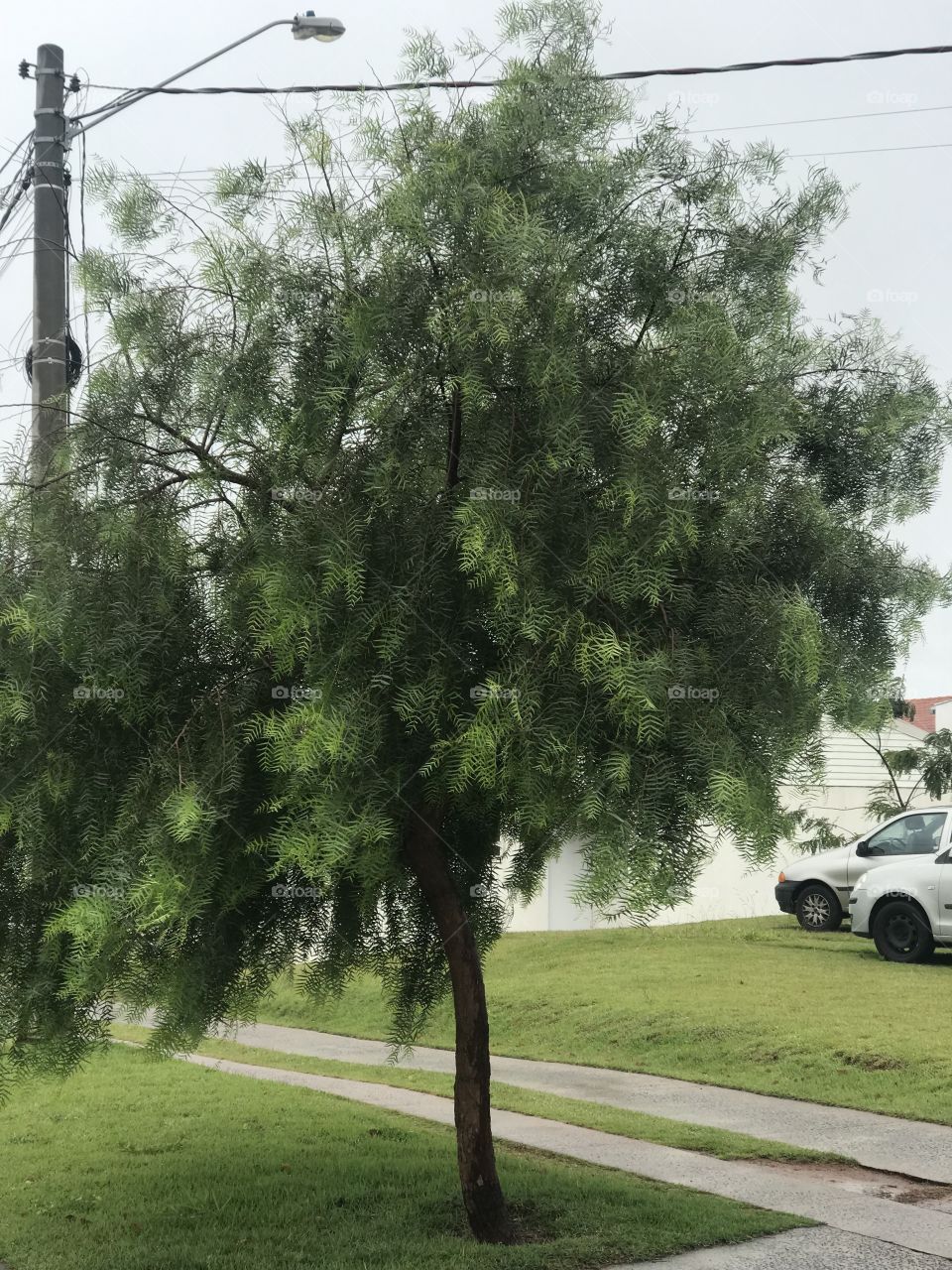 Some snaps near the highways condômino 