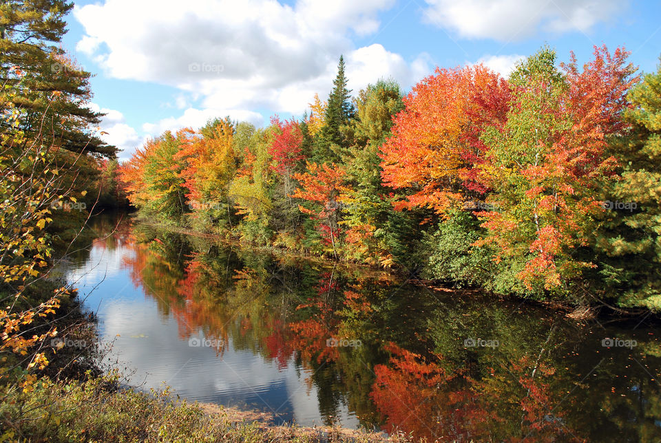 Fall in Maine never fails to be beautiful no matter where you go. Sheepscott River 