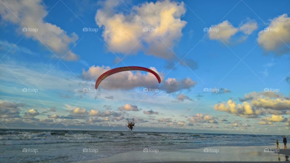 Gliding above the sea.