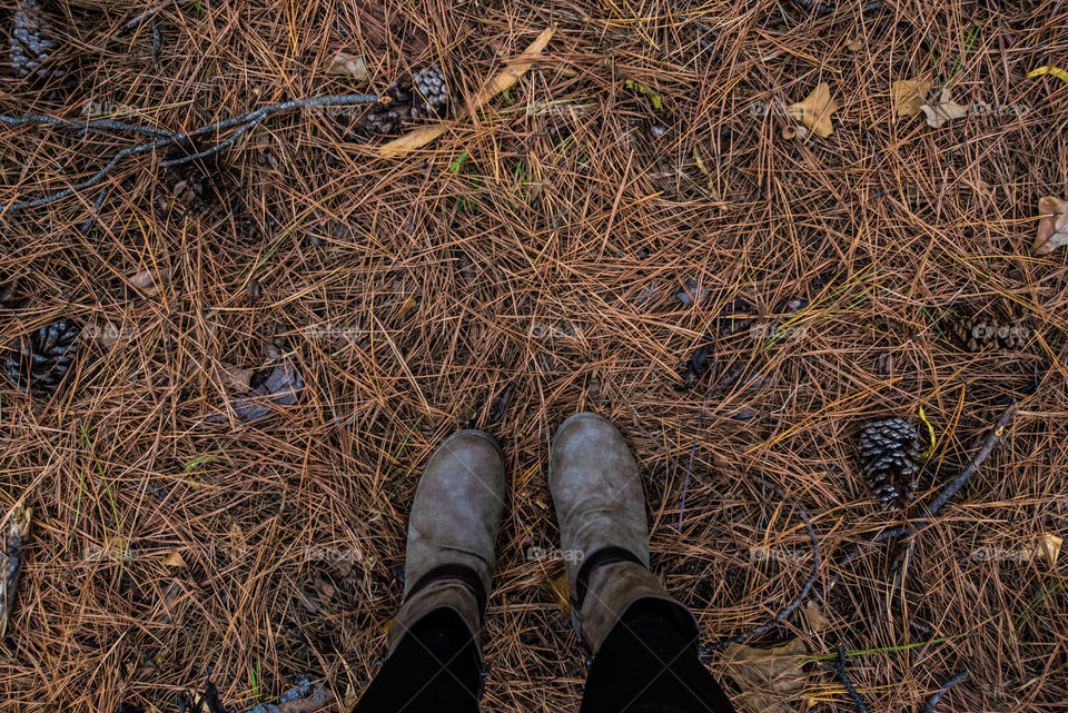 Low section of a person standing on fallen twig 