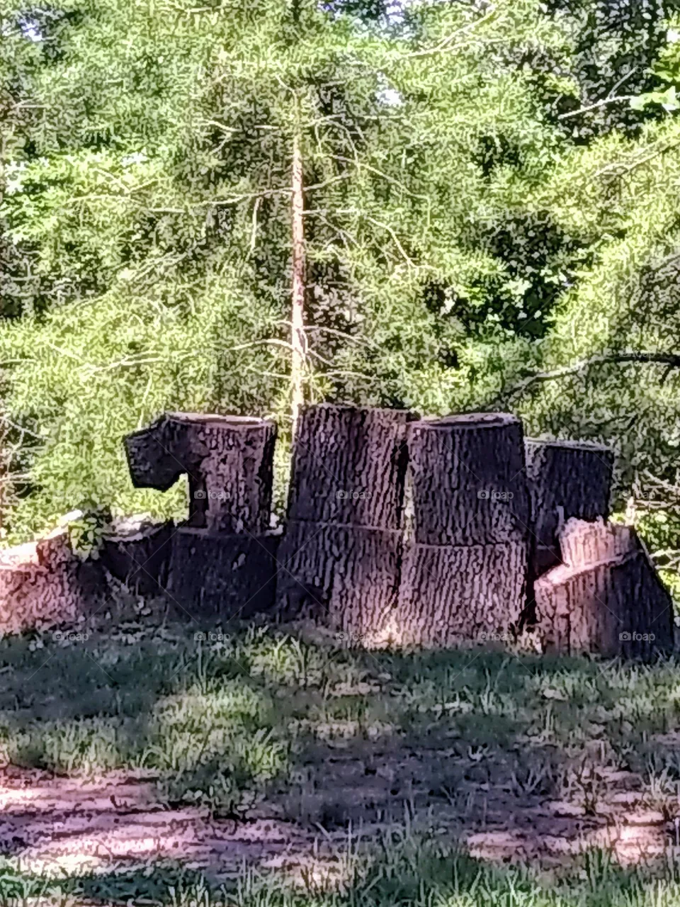 logs
