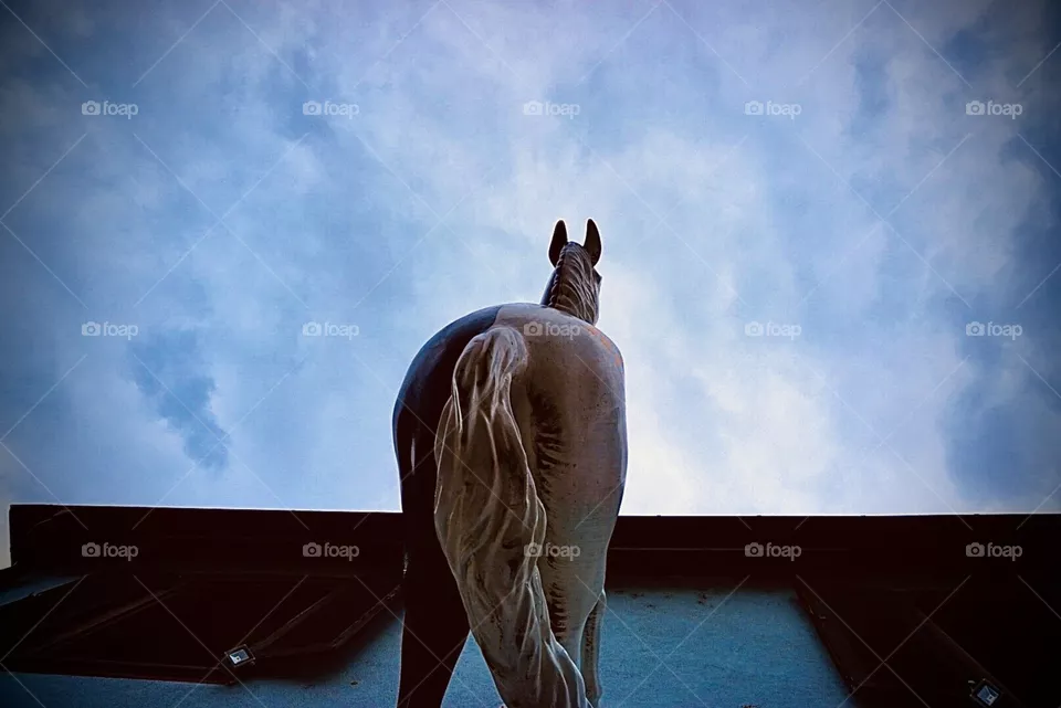 🐴